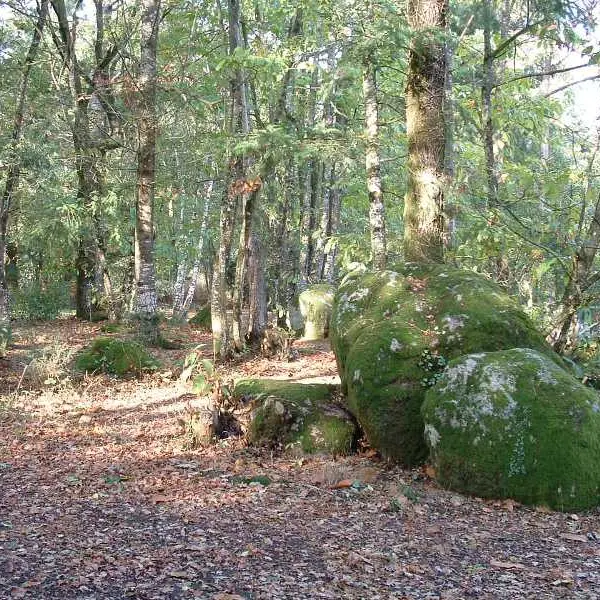 Chemin - Mairie d'Allaire