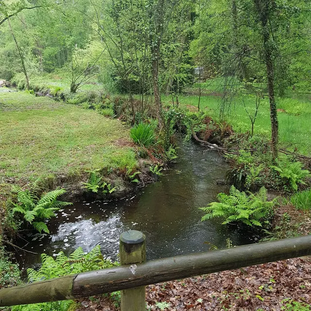 Circuit En Pays Mittau - mai 2021 (1)