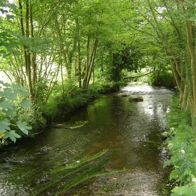 Circuit du meunier - Langoëlan -  Pays roi Morvan - Morbihan bretagne sud - CP OTPRM (2)
