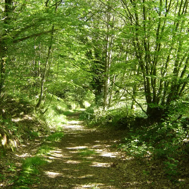 Circuit de Pont-Calleck - Berné - Pays roi Morvan - Morbihan bretagne sud - CP OTPRM (1)