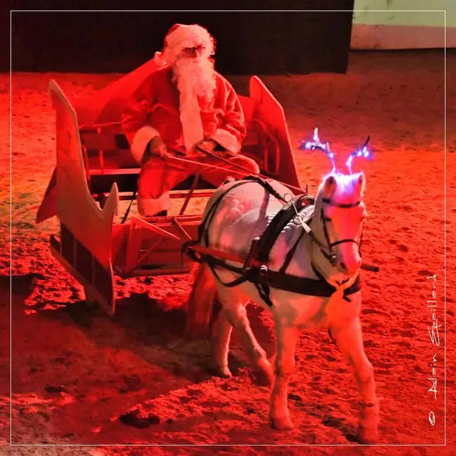 Conte de Noël équestre
