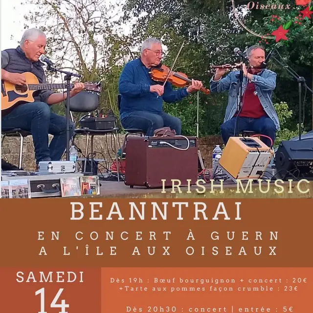 Concert irlandais