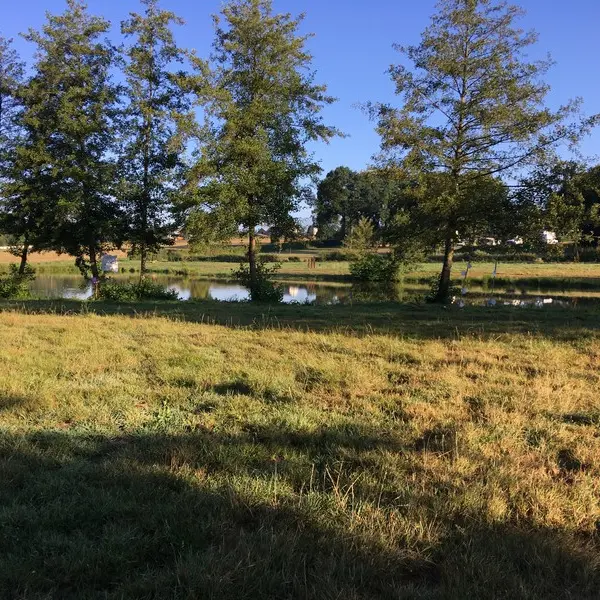 Etang communal de Concoret