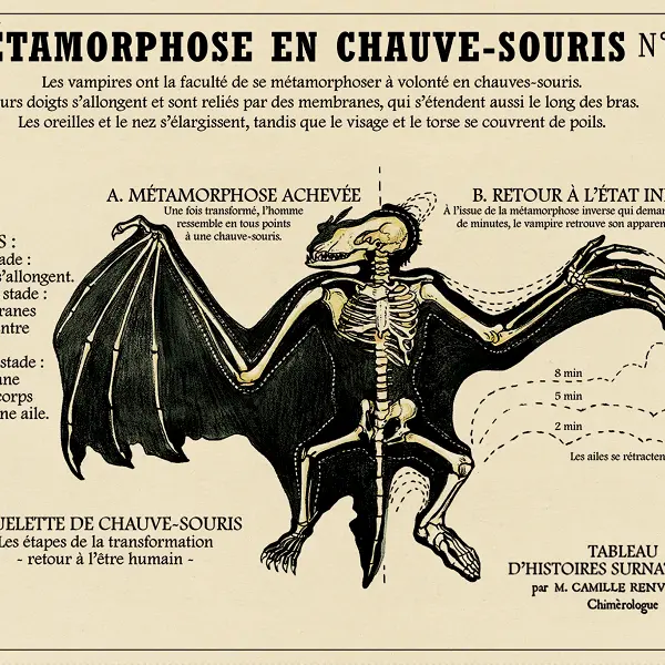 chimerologie_CentreArthurien_Comper_Concoret_DestinationBrocéliande