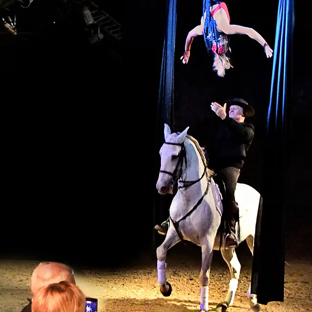 Cabaret équestre Les chevaux dansent à la bodega