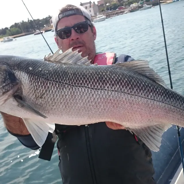 Peche en mer