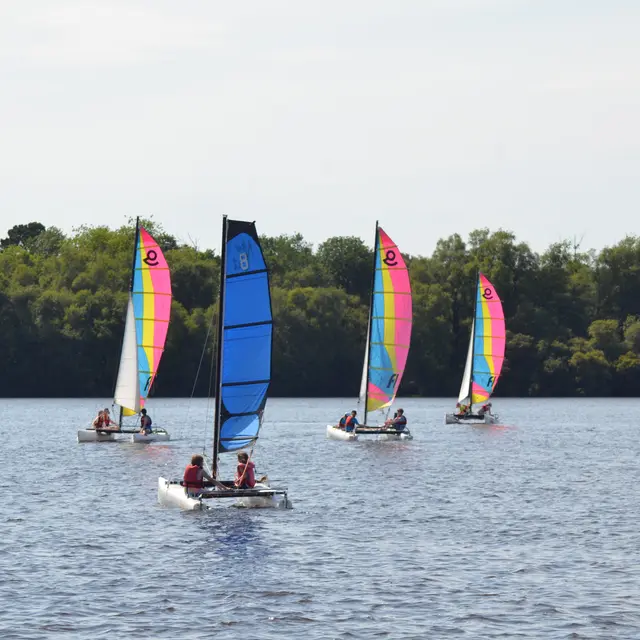 Stage voile