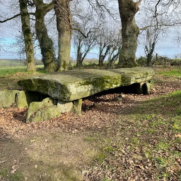 Dolmen de la Maison Trouvée - La Chapelle-Caro - Val d'Oust - Morbihan