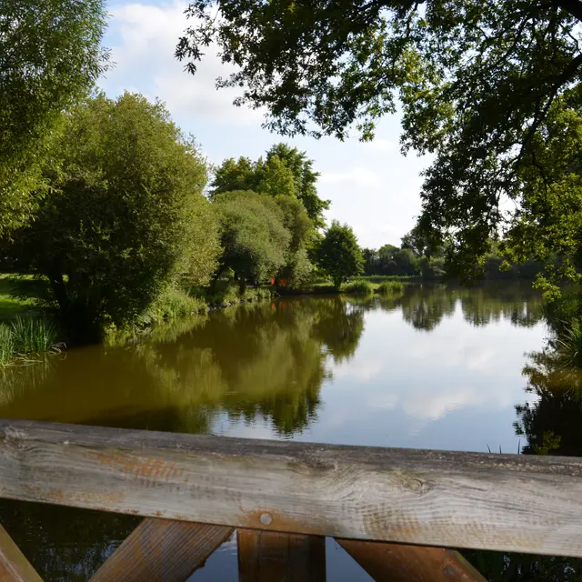 Étangs_de_Coueslé_Allaire_OTPR_2024 (6)