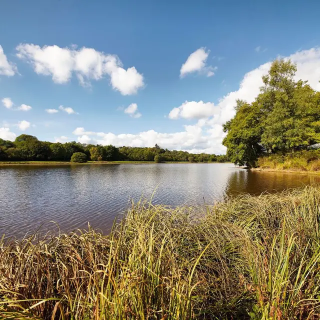 Etang_Dordu_Alexandre_Lamoureux