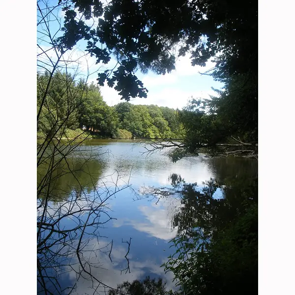 Etang-du-Patouillet---A