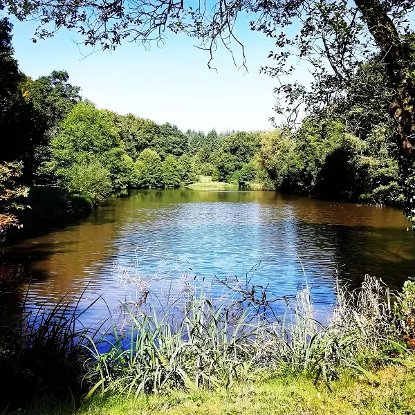 Etang-du-Val-Jouin-Lizio