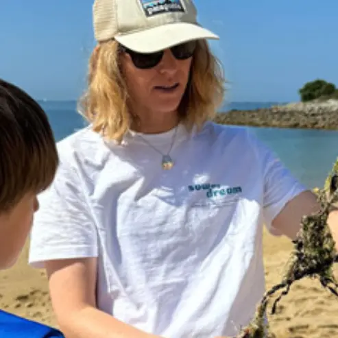 Exploration laisse de mer
