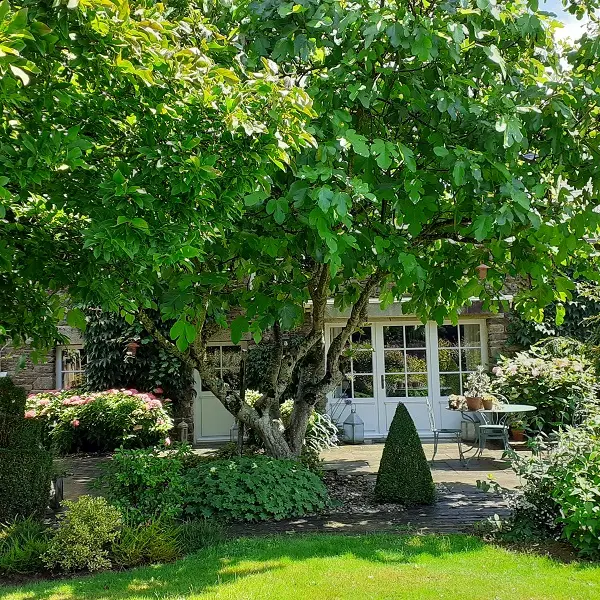 Gîte - Les - Courtils - Ploërmel - Brocéliande - Morbihan