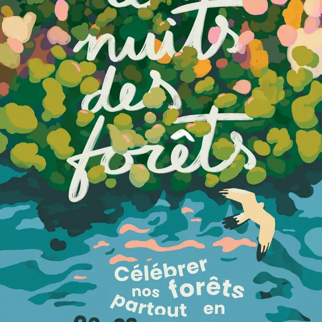 Flyer - les nuits des forets p1