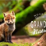 Grandeur nature
