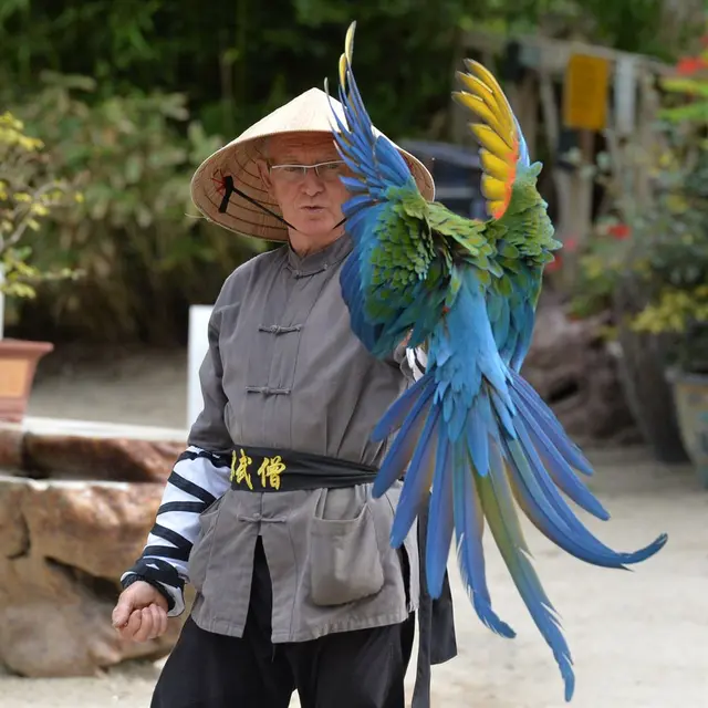 Tropical Parc - Saint-Jacut Les Pins