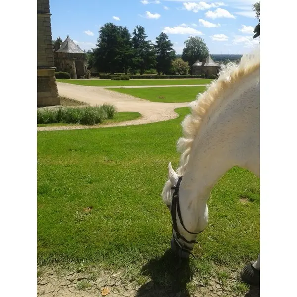 Haras de La Bourdonnaye