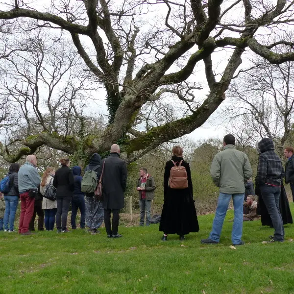 sortie_nature_arbres_remarquables_cpie_concoret_DestinationBrocéliande
