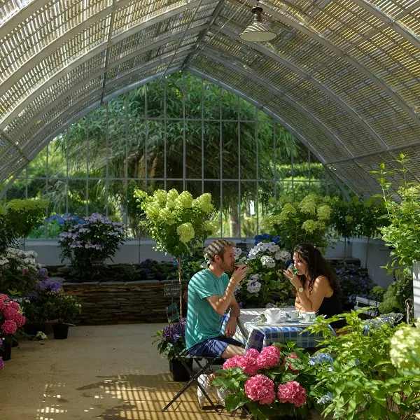 Hortensias - salon de thé - pépinière - Haut bois - Taupont - Bretagne