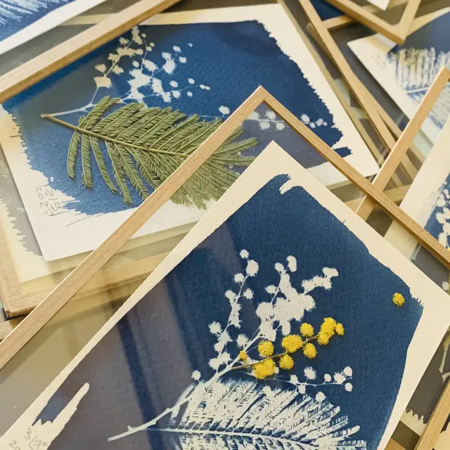 Réalisations en cyanotype