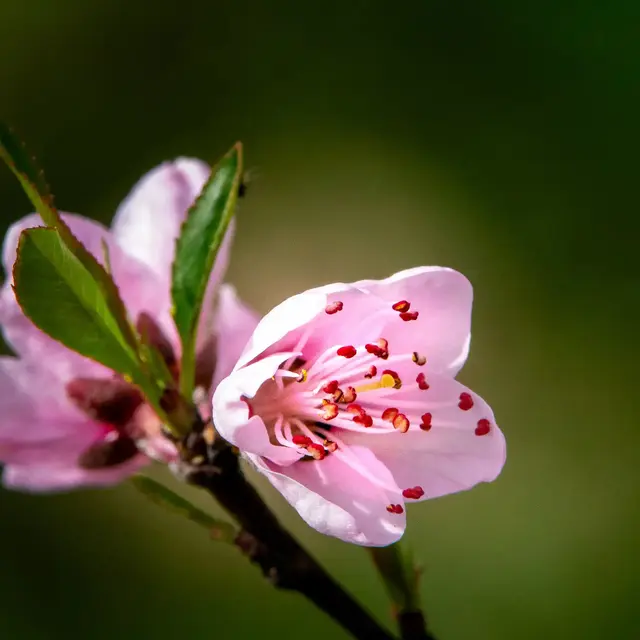 Illustration 2023-25055MT