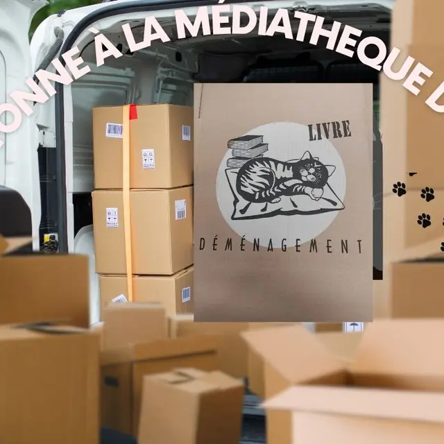 Image_ça_cartonne_à_la_médiathèque