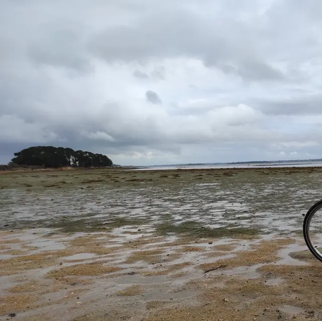 Image1 vélo