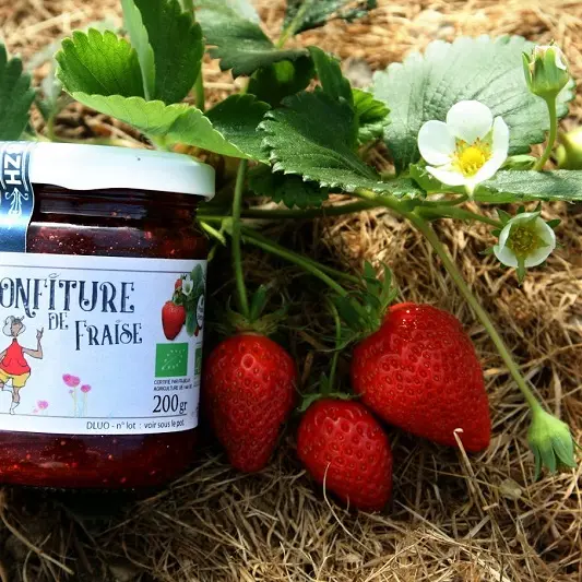 Jardin-Jardine-paysan cuisinier-Confiture de Fraise Bio_Morbihan 56