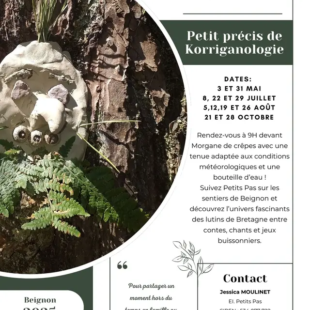 Petit précis de korrigologie