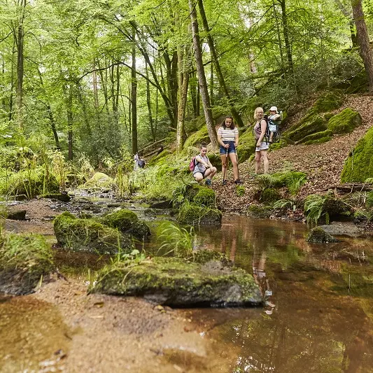 La Chapelle-Neuve-circuit du Goyerdon