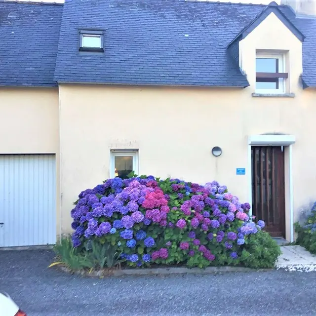 La maison du bonheur