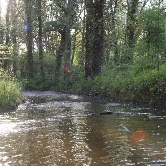 La pêche sur le Pays de Guer