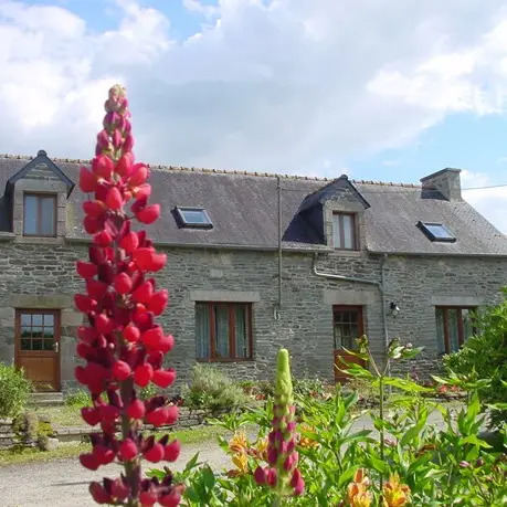 Location vacances_gîte du Rhun_Hortensia_extérieur_Pluméliau-Bieuzy_Vallée du Blavet