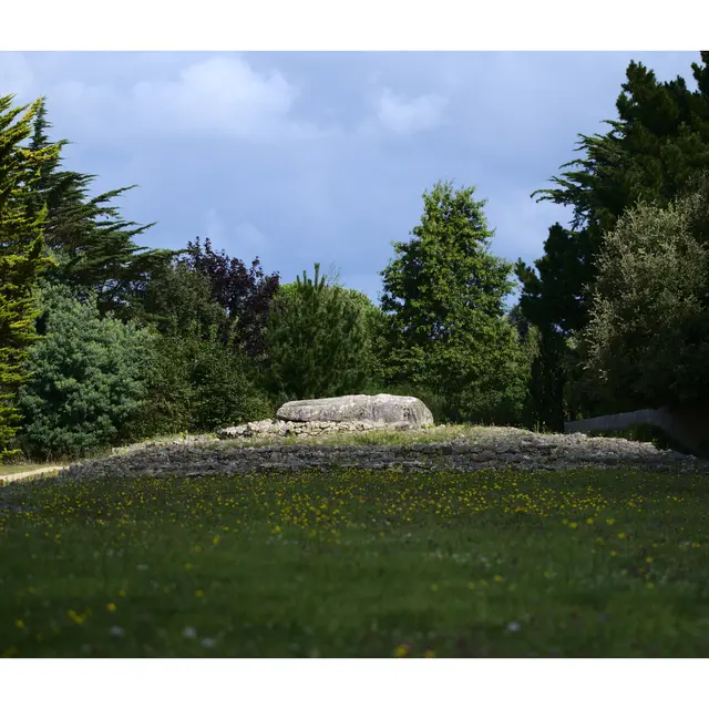 Locmariaquer - Zulaan - 049.jpg_compressed