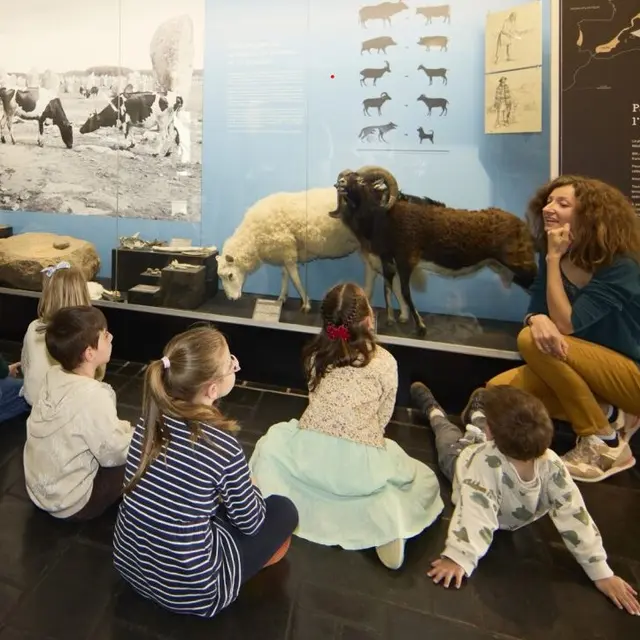 Visite contée à petits pas