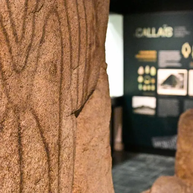 MUSEE_Code néolithique