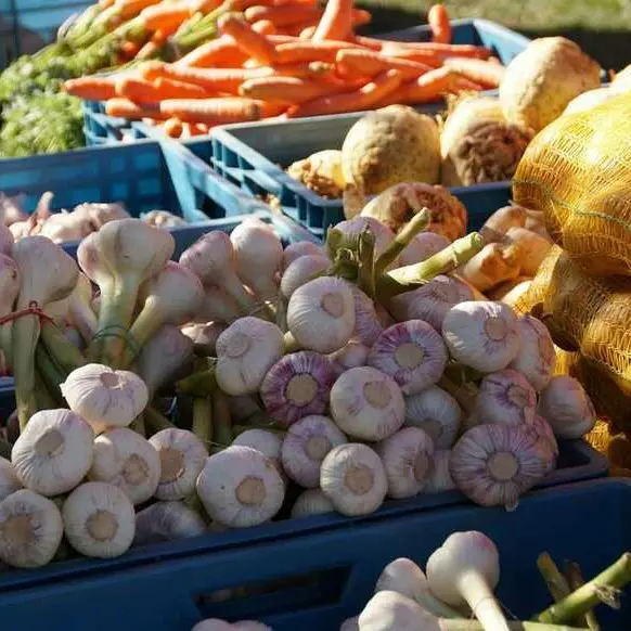 Marché de Locoal Mendon