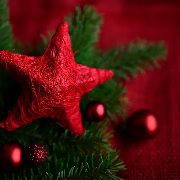 Marché de noel