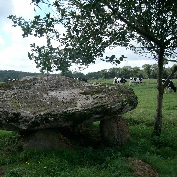 Mégalithes Dolmen de Kermorvant Moustoir ac