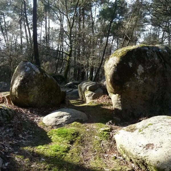 Mégalithes du Brétin - Pleucadeuc - Morbihan - Bretagne