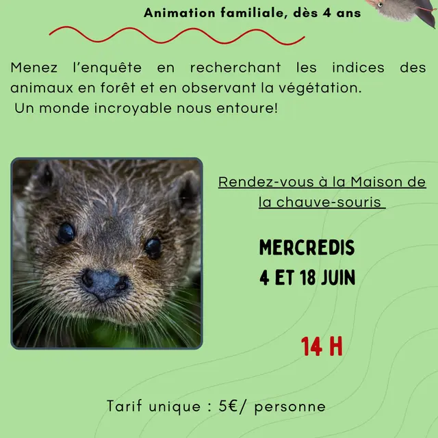 naturalistes