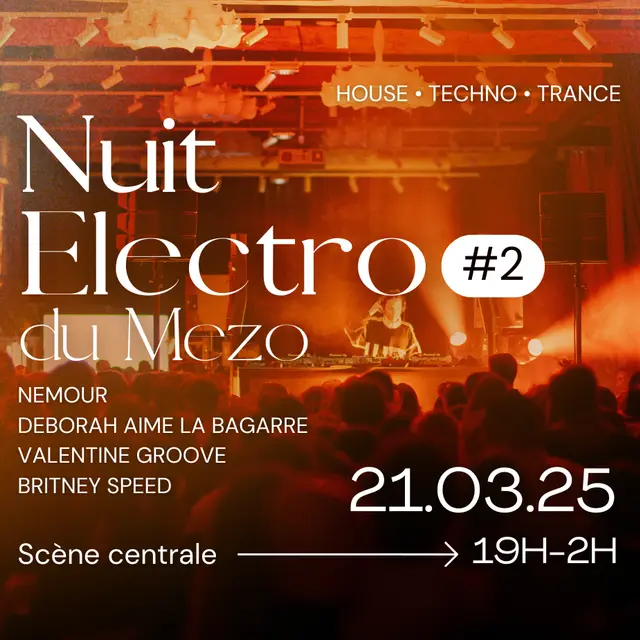 Nuit Electro du Mezo (Couverture Facebook)