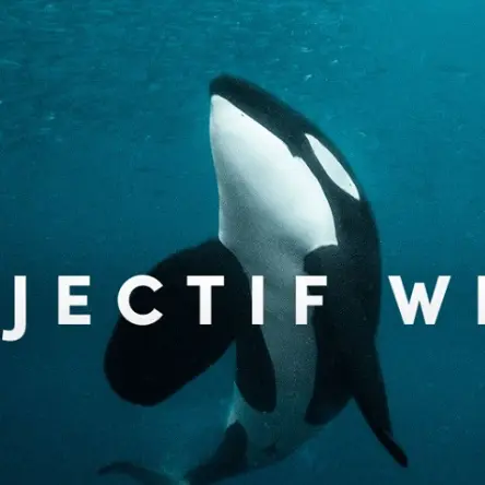 Objectif Wild-LG