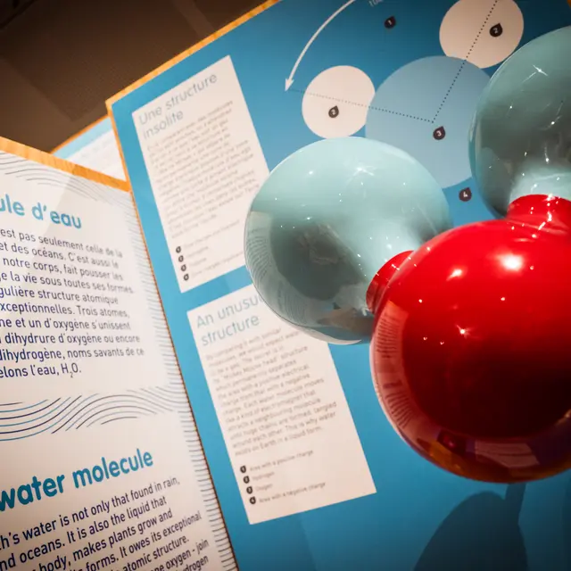 Ostreapolis expo eau©D.Herbreteau-02220