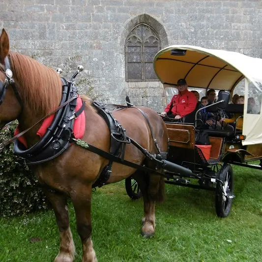 Balade en calèche