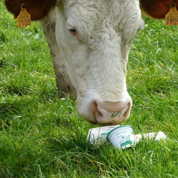 la_creme_rit_vente_ferme_Guilliers_Morbihan