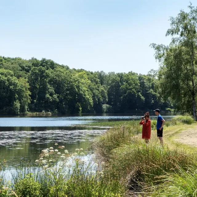 Pont Samoel - Silfiac