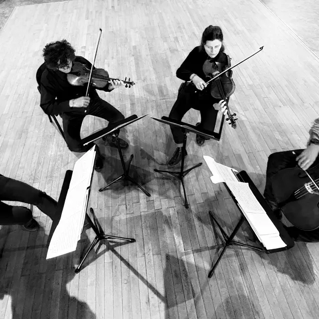 Quatuor Zoltan