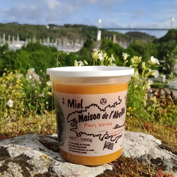 Remy Lucas - La maison de l'Abeille - La Roche-bernard